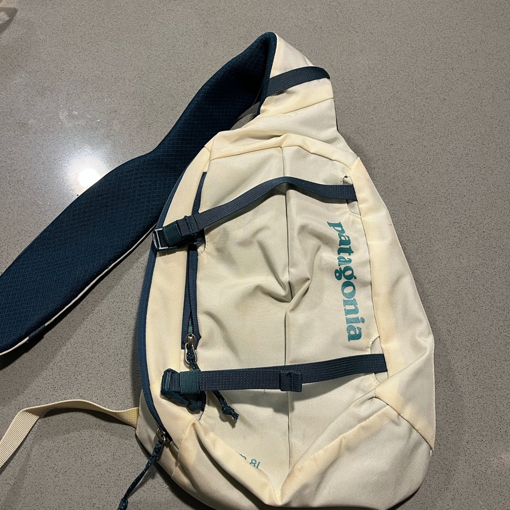 Patagonia Cream and Blue Belt Bag